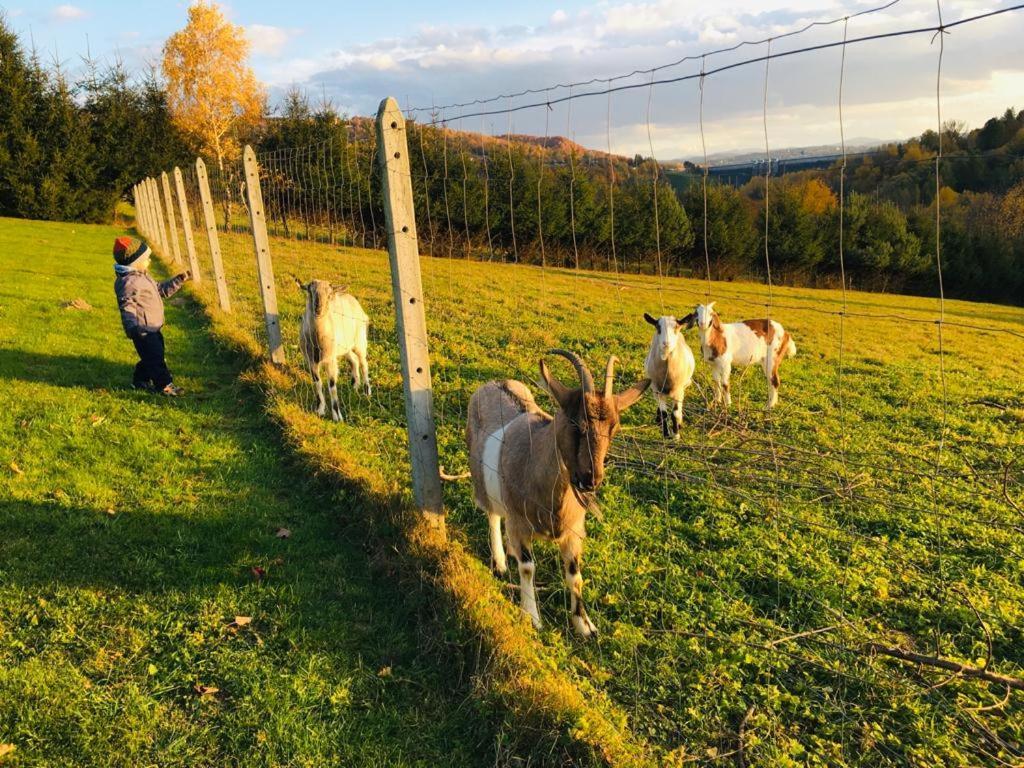 Dom Wschodzacego Slonca Daire Solina  Dış mekan fotoğraf